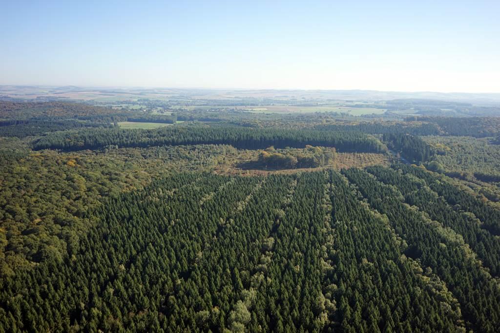 Massif forestier de la Croix-aux-Bois, à proximité de Toges